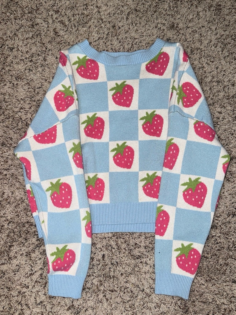Strawberry Crop Sweater in Blue & White